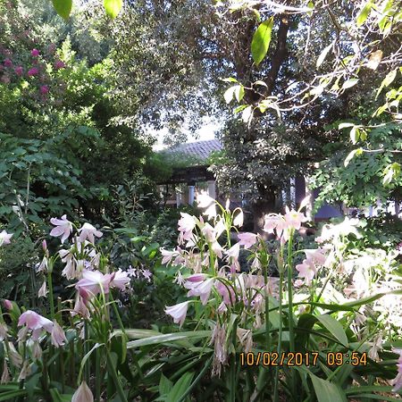 Hotel Boutique Quinta Maria 圣克鲁兹 外观 照片
